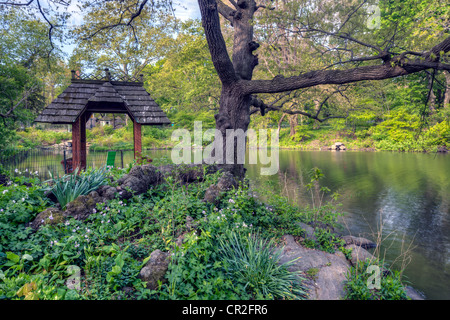 Central Park, New York City Wagner Cove au début du printemps Banque D'Images