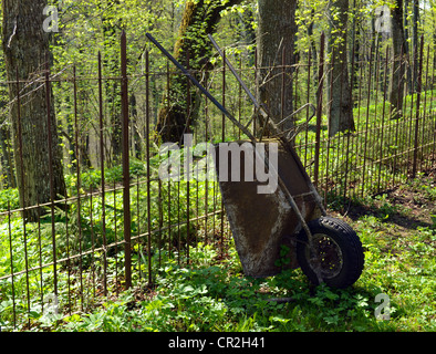Old rusty village garden brouette reste près de clôture barbelée de métal. Outil de jardin fonctionne. Banque D'Images
