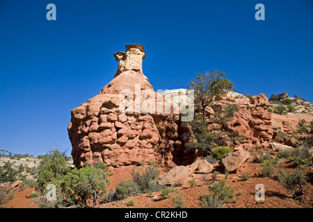 Rock de poulet, l'une des nombreuses formations de grès dans le Canyon de sable, dans les Canyons of the Ancients National Monument, Colorado, Banque D'Images