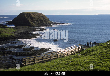 Vue depuis la promenade Nobbies Philip Island Australie Victoria Banque D'Images