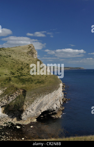 La côte du Dorset, à l'est de Worbarrow Kimmeridge Bay Tout vers St Aldhelm's Head et. Banque D'Images
