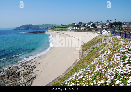 Plage de Gyllyngvase, Falmouth, Cornwall, UK Banque D'Images