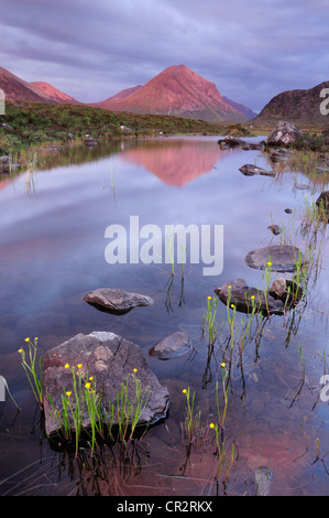 Marsco reflétée dans un petit lochan à Glen Sligachan au crépuscule, à l'île de Skye, Écosse, Hébrides intérieures Banque D'Images