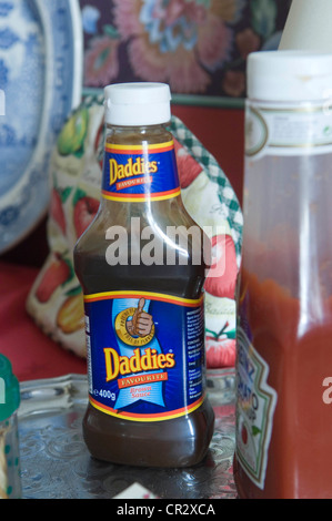 Daddies sauce brune aux côtés de bouteille en plastique bouteille de ketchup Heinz. Banque D'Images