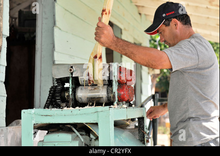 Man at a market stall pour jus de canne à sucre, rhum-mélanger des boissons, de la canne à sucre centrifugeuse, Trinité, Antilles, Caraïbes Banque D'Images