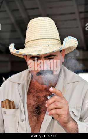 Producteur de tabac fumer un cigare, le tabac (Nicotiana), la culture du tabac dans la Vallée de Viñales Vinales, Parc National Banque D'Images