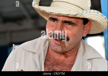 Producteur de tabac fumer un cigare, le tabac (Nicotiana), la culture du tabac dans la Vallée de Viñales Vinales, Parc National Banque D'Images