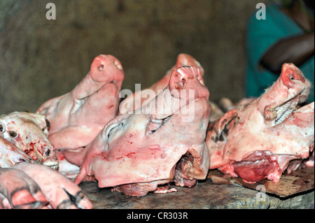 Les têtes de porc, de la viande à la vente le marché hebdomadaire, centre de La Havane, Centro Habana, Cuba, Antilles, Caraïbes, Amérique Centrale Banque D'Images