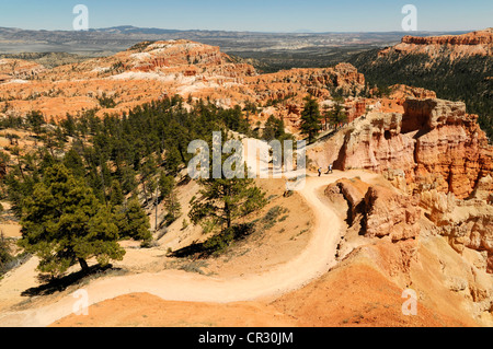 Les voies à Canyon Rim, Bryce Canyon National Park, Utah, USA, Amérique du Nord Banque D'Images