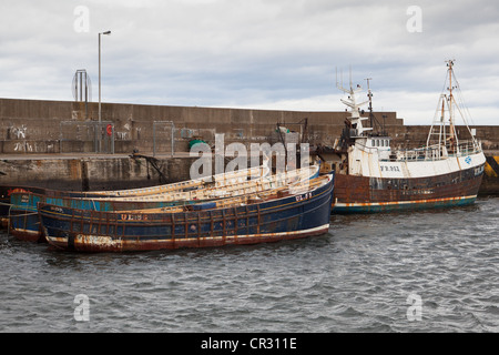 Les chalutiers n'a commandé de Macduff Port. Banffshire Scotland UK Banque D'Images