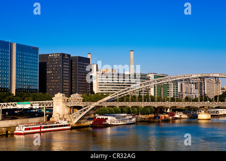 France, Paris, le pont de métro et de la Gare de Lyon, sur les bords de Seine Banque D'Images