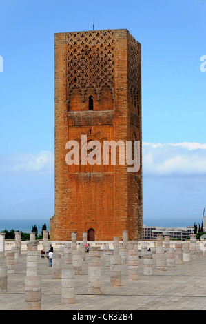 L'inachevé Tour Hassan, Tour Hassan, à l'avant-cour, Rabat, Maroc, Afrique du Nord, Afrique Banque D'Images