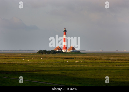 Westerheversand Westerhever, Phare, Mer du Nord, la Frise, Schleswig-Holstein, Allemagne du nord, l'Allemagne, de l'Europe Banque D'Images