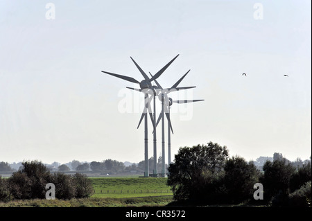 Les éoliennes près de Husum, Schleswig-Holstein, Allemagne, Europe Banque D'Images