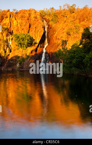 Wangi Falls au coucher du soleil, détail, Litchfield National Park, Territoire du Nord, Australie Banque D'Images