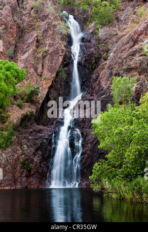 Wangi Falls, détail, Litchfield National Park, Territoire du Nord, Australie Banque D'Images