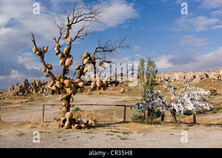 Arbre avec des pots d'argile à Göreme, en Cappadoce, Anatolie centrale, Turquie, Asie Banque D'Images