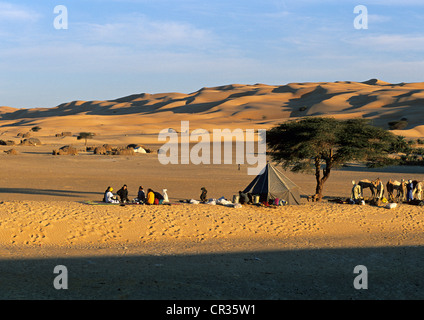 La Mauritanie, l'Adrar, Région de randonnée dans le désert, arrêt à la Palmeraie de Agueila, bivouac Banque D'Images