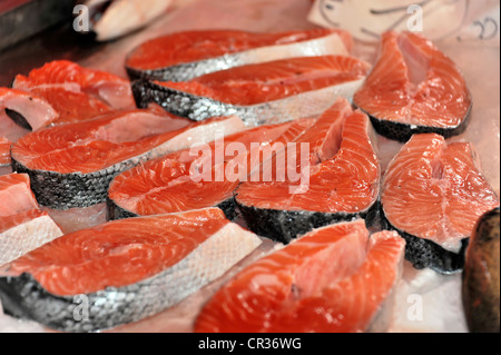 Le saumon (Salmo salar), le marché aux poissons de Chioggia, Venise, Vénétie, Italie, Europe Banque D'Images