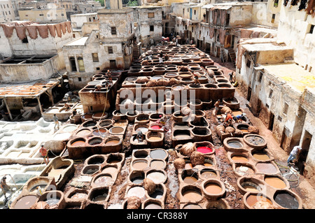 Quartier des tanneurs, teinturiers Chouwara' trimestre, Fès El Bali district, Medina, site du patrimoine mondial de l'UNESCO, Fès, Fès, Maroc, Afrique Banque D'Images