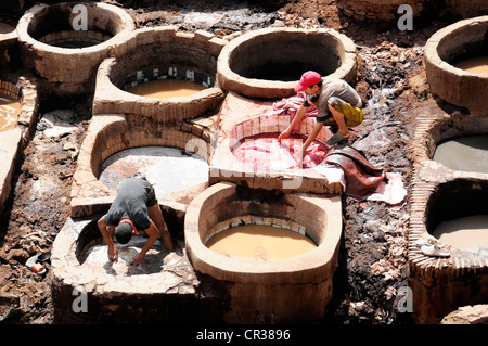 Les travailleurs, les tanneurs, les teinturiers' Chouwara trimestre trimestre, Fès El Bali district, Medina, site du patrimoine mondial de l'UNESCO, Fès, Fes Banque D'Images