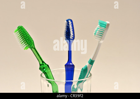 Trois brosses à dents sont dans un verre sur un fond blanc. Banque D'Images