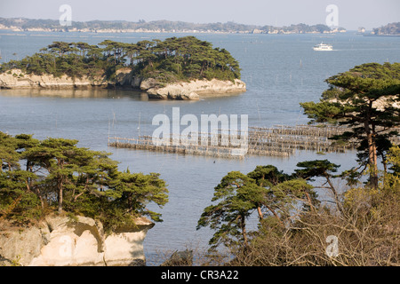 Le Japon, l'île de Honshu, région du Tohoku, Matsushima, la baie Banque D'Images