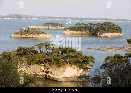 Le Japon, l'île de Honshu, région du Tohoku, Matsushima, la baie Banque D'Images
