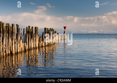 Une rangée de poteaux dans le lac près de Wasserburg, Lac de Constance, vue en direction de Bregenz, district de Lindau, Bavaria, Germany, Europe Banque D'Images