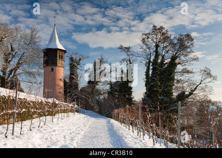 La tour Schwedenturm entre vignes en hiver, l'île de Mainau, comté de Konstanz, Bade-Wurtemberg, Allemagne, Europe Banque D'Images