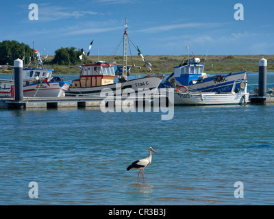 Cabanas, bateaux de pêche amarrés dans le lagon avec une cigogne, de l'Algarve, Portugal Banque D'Images