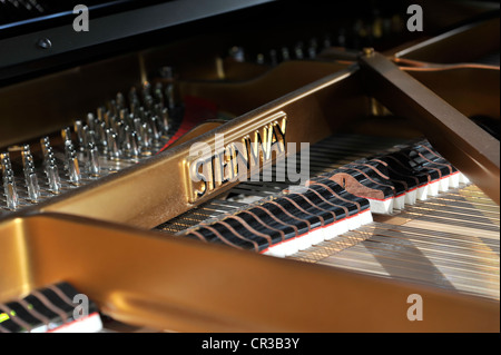 Grand piano Steinway & Sons, BMW World, Munich, Bavaria, Germany, Europe Banque D'Images