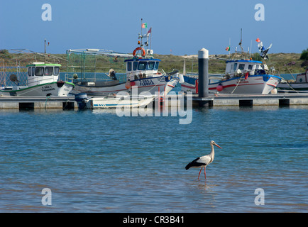 Cabanas, bateaux de pêche amarrés dans le lagon avec une cigogne, de l'Algarve, Portugal Banque D'Images