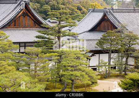 Le Japon, l'île de Honshu, la région de Kinki, ville de Kyoto, le château de Nijo Jo UNESCO World Heritage Banque D'Images