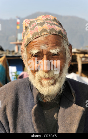Vieux homme népalais, portrait, Pokhara, Népal, Asie Banque D'Images