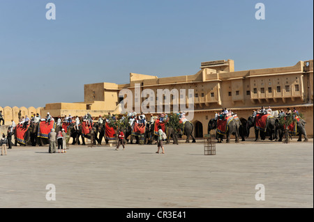 Des éléphants au Fort Amber, ambre, près de Jaipur, Rajasthan, Inde du Nord, Inde, Asie du Sud, Asie Banque D'Images