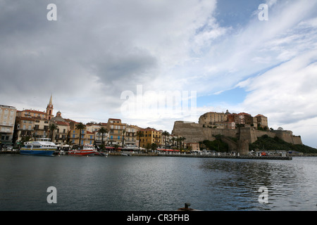 Port de plaisance de Calvi et de la vieille ville citadelle Corse France Banque D'Images