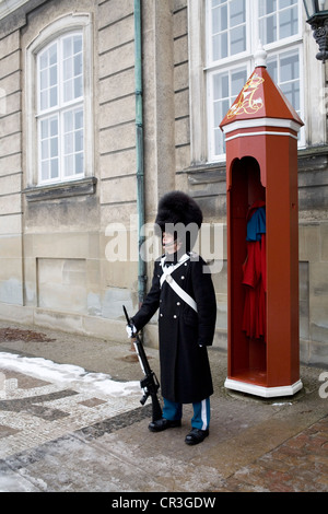 La garde au Palais d'Amalienborg, Copenhague, Danemark, Europe Banque D'Images