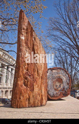 Afficher le bois pétrifié de quelque 200 millions d'années au musée à Washington D.C.;trouvée dans la Forêt Nationale de l'Arizona Banque D'Images