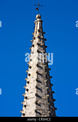 France, Bouches du Rhone, Saint Remy de Provence, clocher de l'église collégiale St Martin Banque D'Images