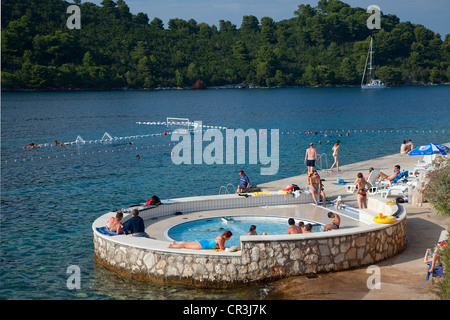 La Croatie, Dalmatie, côte dalmate, Parc National de Mljet island, Pomena Harbour Banque D'Images