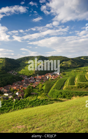 Schelingen et de vignobles, de montagnes de Kaiserstuhl, Bade-Wurtemberg, Allemagne, Europe Banque D'Images