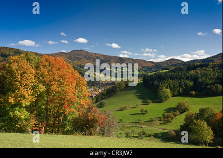 Glottertal, Forêt Noire, Bade-Wurtemberg, Allemagne, Europe Banque D'Images