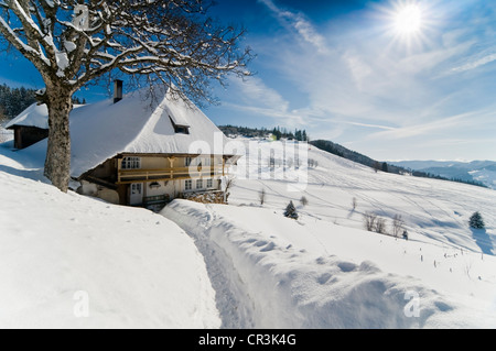 La neige ferme à Muggenbrunn, de montagnes de la Forêt-Noire, Bade-Wurtemberg, Allemagne, Europe Banque D'Images