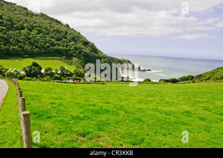 Le Lynton & Lynmouth,Lynemouth Bay,Vallée des rochers,marche Sentier Littoral Nord Castle Rock,poneys Exmoore,Chèvres,Campagne,Devon Banque D'Images