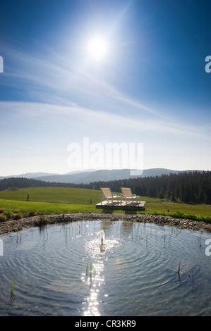 Piscine de Halde Voir Mt Schauinsland, Freiburg im Breisgau, Forêt Noire, Bade-Wurtemberg, Allemagne, Europe Banque D'Images