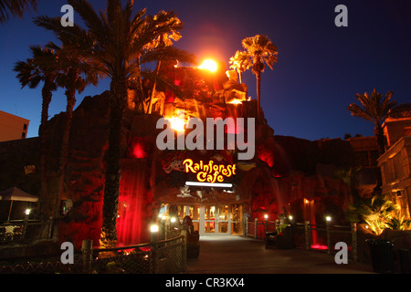 Rainforest Cafe, Galveston Texas Banque D'Images