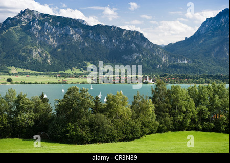 Lac Forggensee, Schloss Neuschwanstein Castle au dos, Füssen, Allgaeu, Bavaria, Germany, Europe Banque D'Images