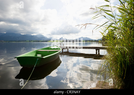 Voile sur le lac Hopfensee Füssen, près de l'Allgaeu, Bavaria, Germany, Europe Banque D'Images