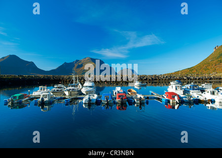 Bateaux amarrés dans le port, village de pêcheurs de Storvik, Nordland, Norvège, Scandinavie, Europe Banque D'Images